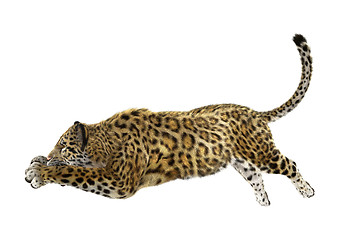 Image showing Jaguar