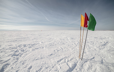 Image showing Flags on the background of winter sky