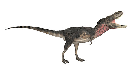 Image showing Dinosaur Tarbosaurus