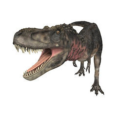 Image showing Dinosaur Tarbosaurus