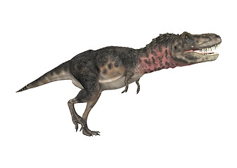 Image showing Dinosaur Tarbosaurus