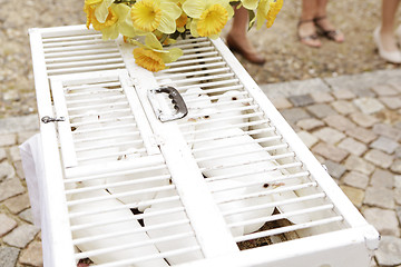 Image showing Wedding doves white