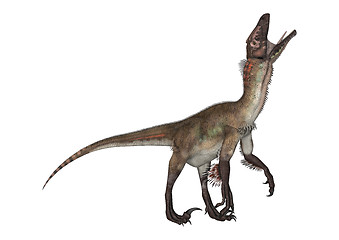 Image showing Dinosaur Utahraptor