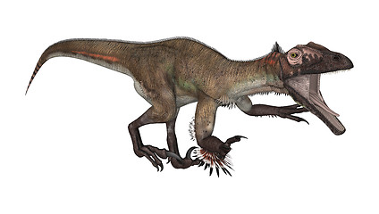 Image showing Dinosaur Utahraptor