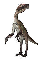 Image showing Dinosaur Utahraptor