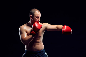 Image showing Young Boxer boxing 