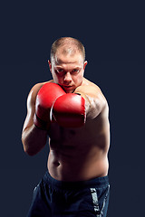 Image showing Young Boxer boxing 