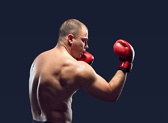 Image showing Young Boxer boxing 