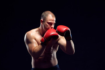 Image showing Young Boxer boxing 