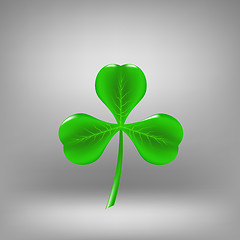 Image showing Green Leaf Clover 