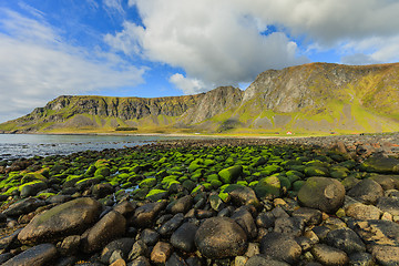 Image showing Landscape