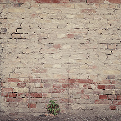Image showing old grunge brick wall 