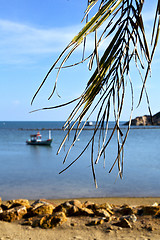 Image showing asia in  kho   thailand bay      pirogue palm   