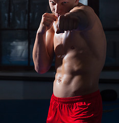 Image showing kickboxer in red panties