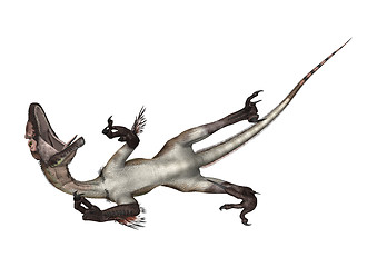 Image showing Dinosaur Utahraptor