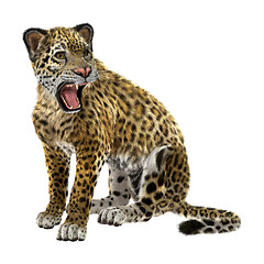 Image showing Jaguar