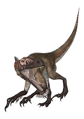 Image showing Dinosaur Utahraptor