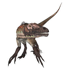 Image showing Dinosaur Utahraptor