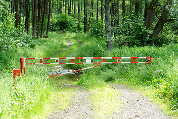 Image showing barrier gate with forest background usage