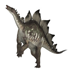 Image showing Dinosaur Stegosaurus