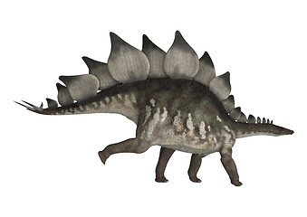 Image showing Dinosaur Stegosaurus