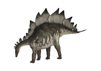 Image showing Dinosaur Stegosaurus