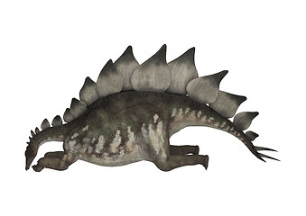 Image showing Dinosaur Stegosaurus