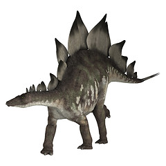 Image showing Dinosaur Stegosaurus