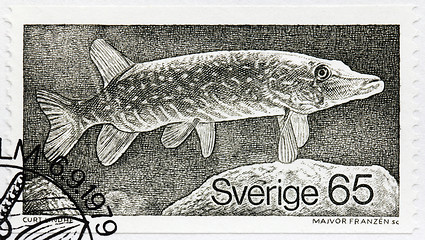 Image showing Pike Stamp