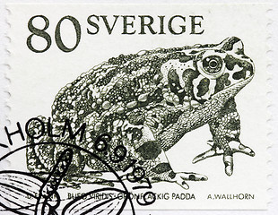 Image showing Toad Stamp