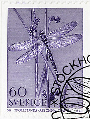 Image showing Dragonfly Stamp