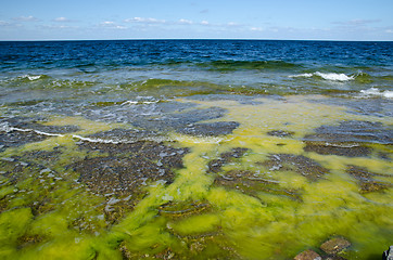 Image showing Colorful flat rock coast