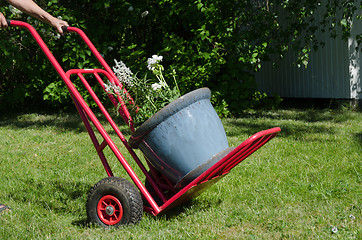 Image showing Flowerpot on a cart