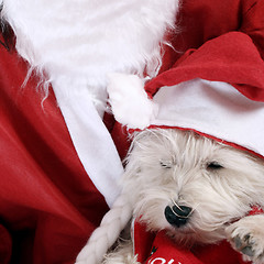 Image showing Santa claus