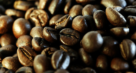 Image showing Fragrant fried coffee beans 