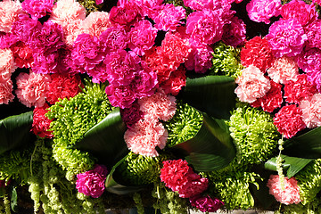 Image showing background of red and pink carnations 