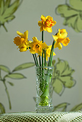 Image showing Yellow daffodils.