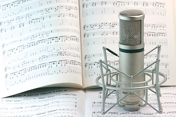 Image showing notes and microphone