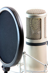 Image showing microphone filter