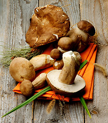 Image showing Boletus Mushrooms