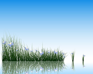 Image showing Flower with grass on water surface 