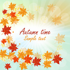 Image showing Autumn maple leaves 