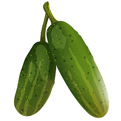 Image showing Two fresh cucumbers