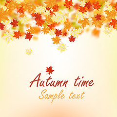 Image showing Autumn maple leaves 