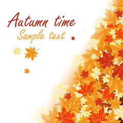 Image showing Autumn maple leaves 