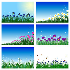 Image showing Meadow color background set