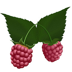 Image showing Two fresh raspberry. 