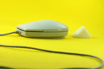 Image showing mouse cheese