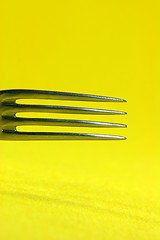 Image showing fork detail