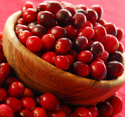 Image showing Cranberries in a bowl